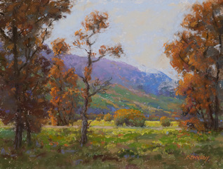 Fall Colors in Paradise Valley