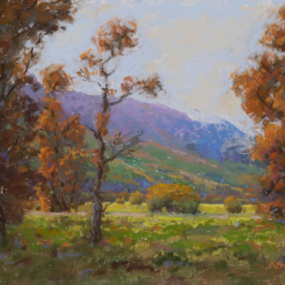 Fall Colors I