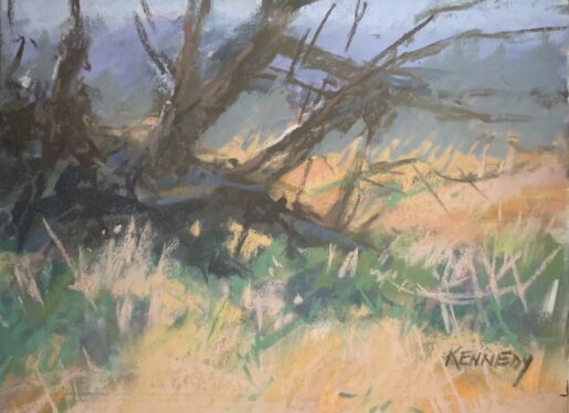 Felled Tree