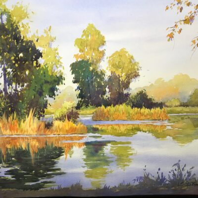 Late Afternoon on the Pond