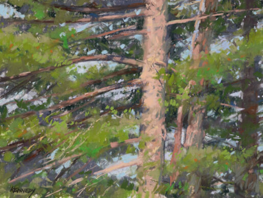 Pines
