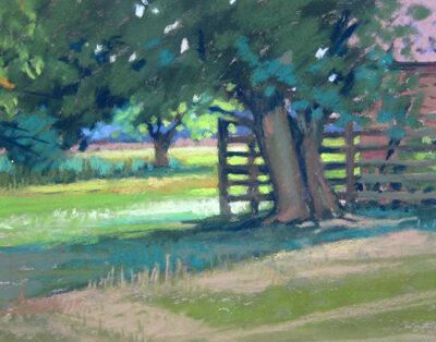 Roxy’s Field