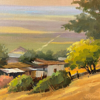 Vega De Carmona Shacks