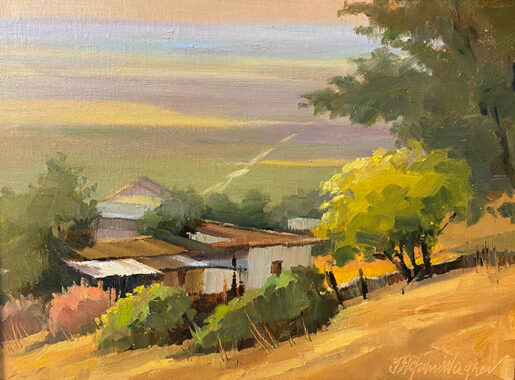 Vega De Carmona Shacks