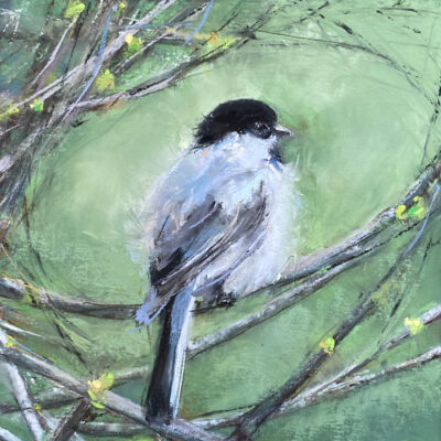 Baby Black-Capped Chickadee *sold*