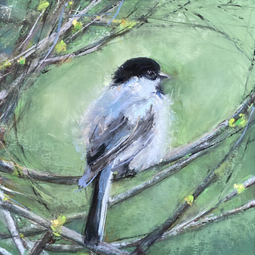 Baby Black-Capped Chickadee *sold*