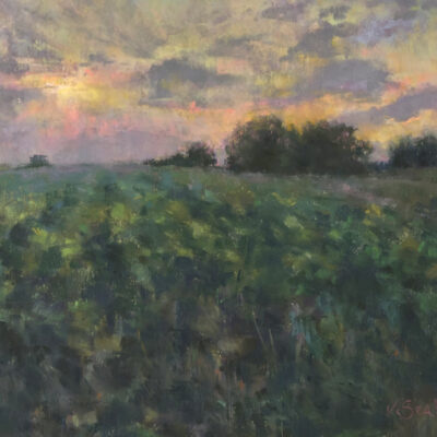 Hillside Sunset